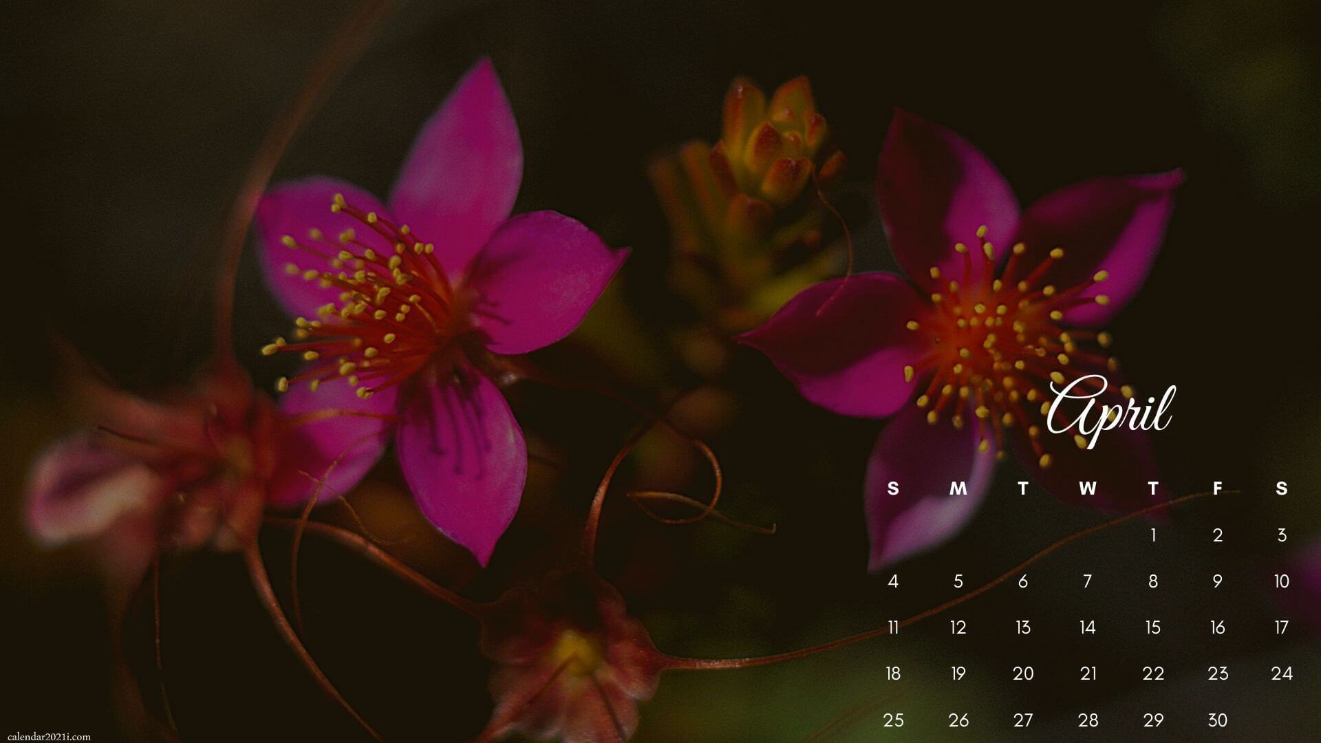 April 2021 HD Calendar Wallpaper Floral