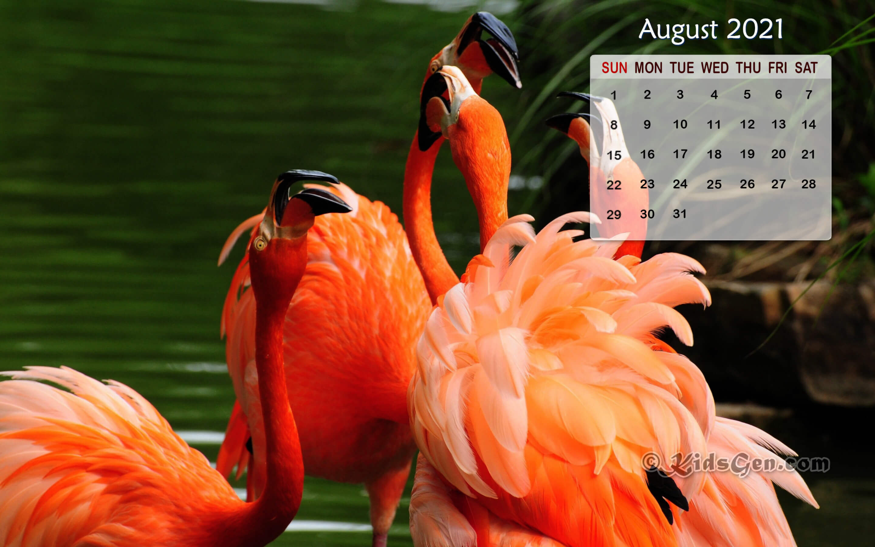 August 2021 Desktop Background Calendar Wallpaper