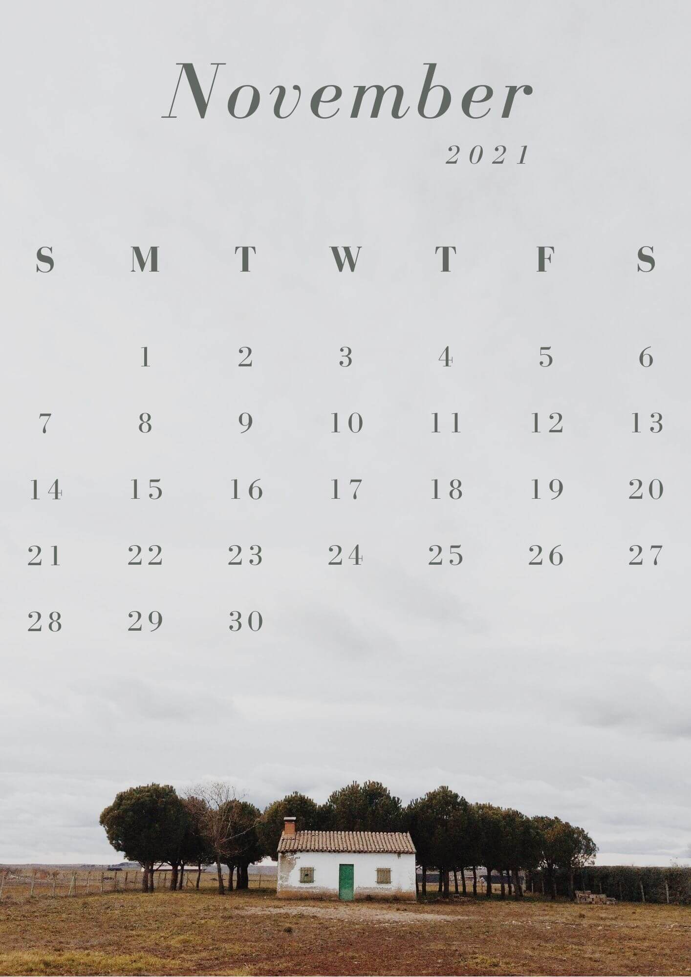 iPhone November 2021 Calendar Wallpaper