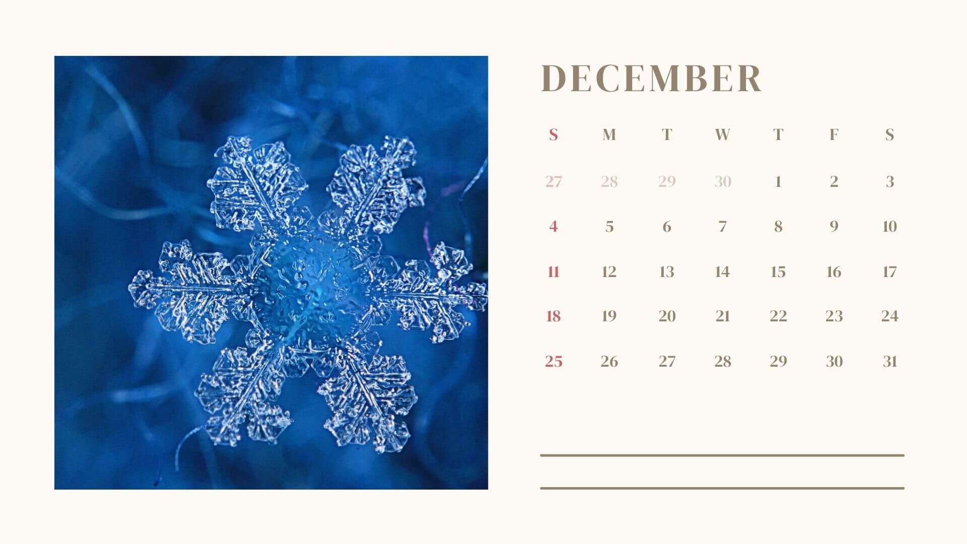 Photography December 2022 Calendar