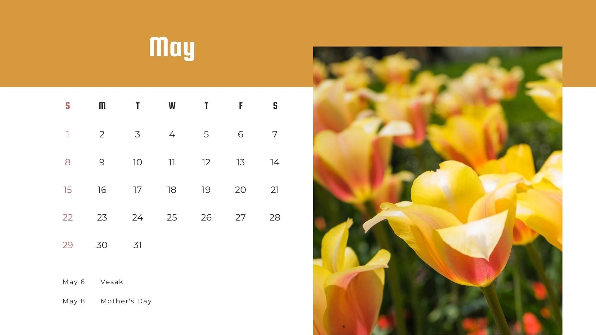 May 2022 Calendar Wallpaper Yellow Flower