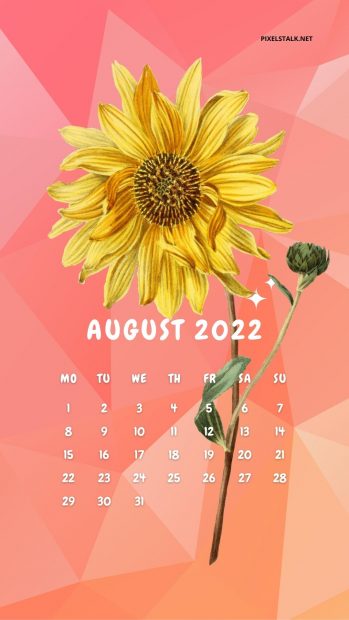 August 2022 Calendar iPhone Wallpaper HD