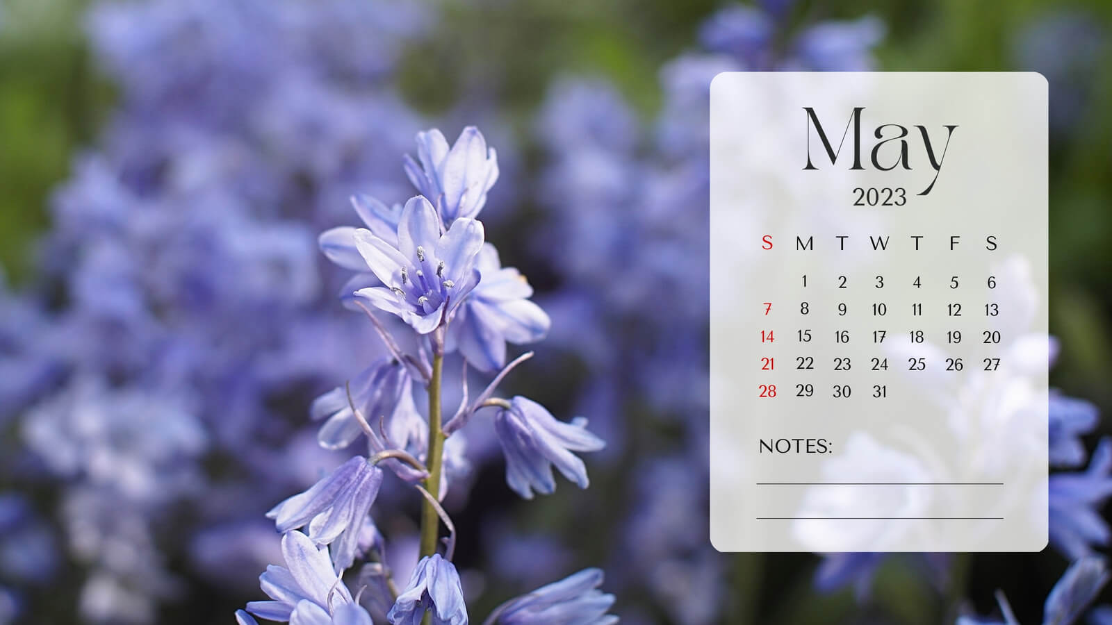 Floral May 2023 Desktop Calendar Template