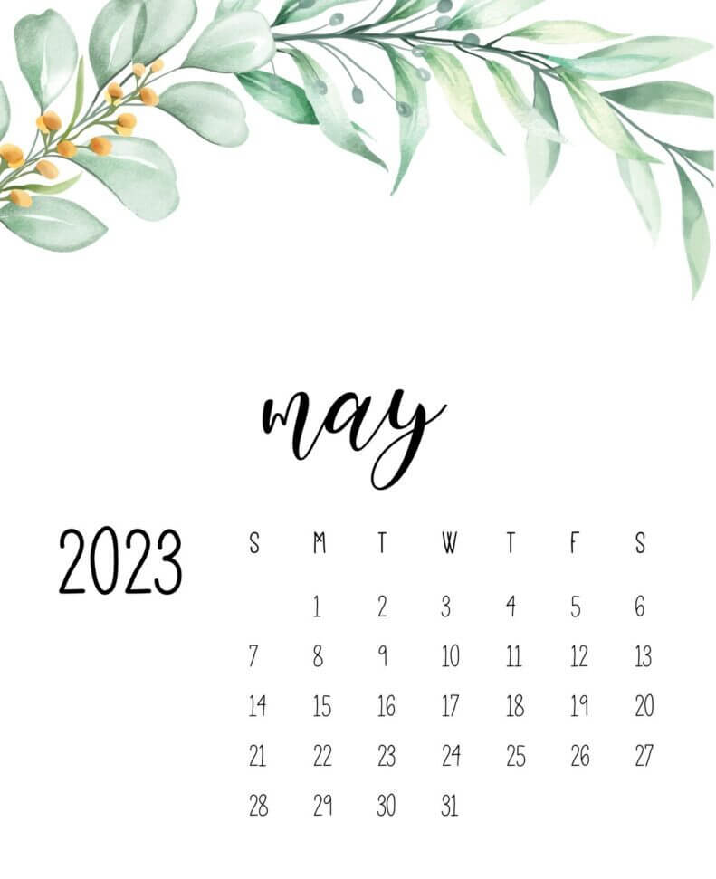 Floral May 2023 Iphone Calendar Wallpaper