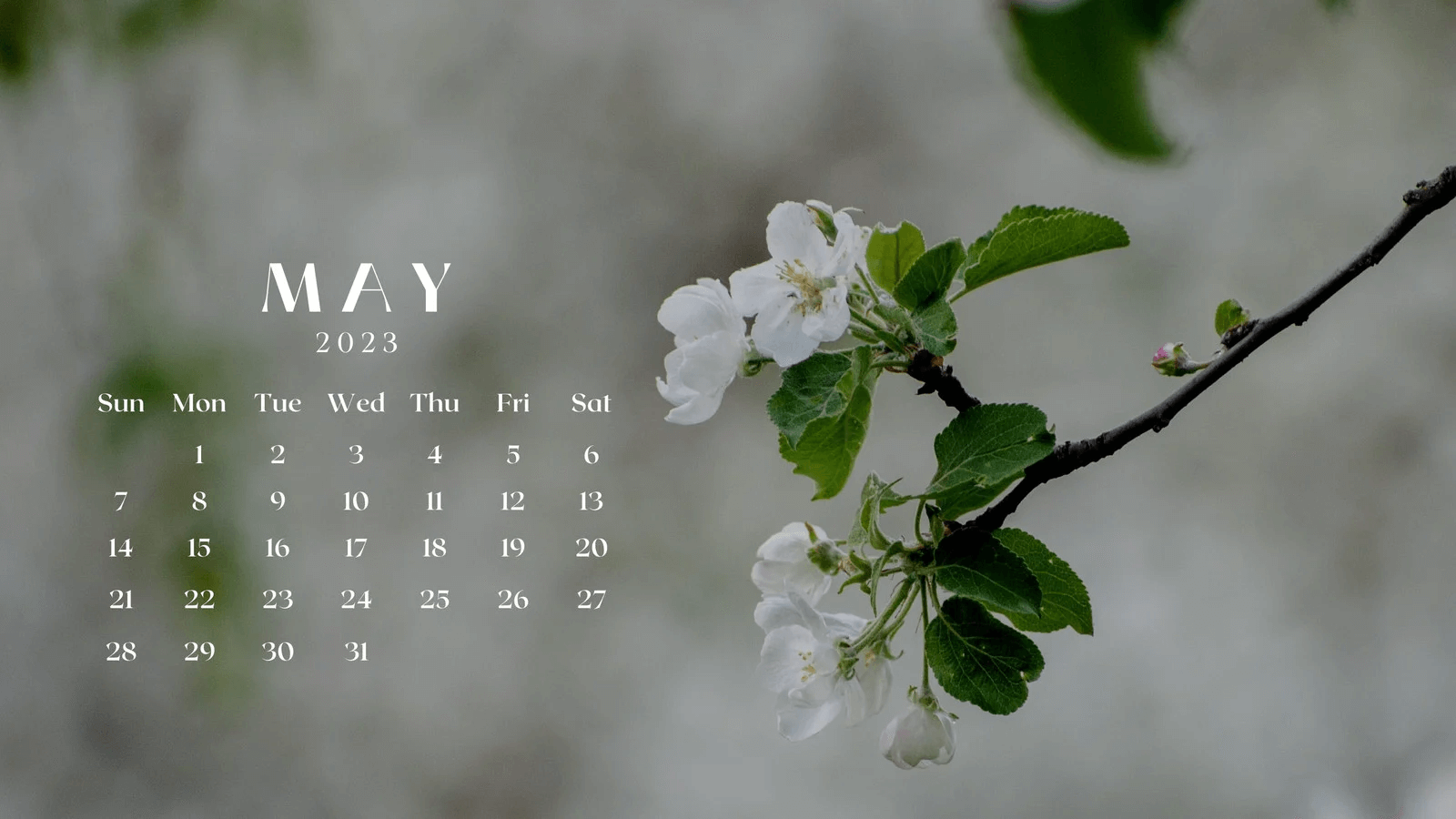 May 2023 Desktop Calendar Wallpaper