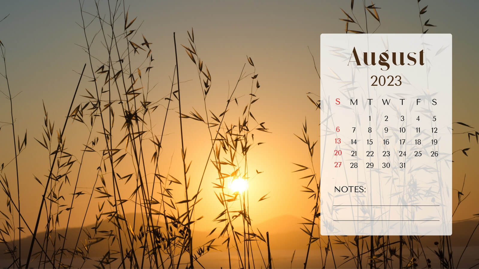 August 2023 Desktop Background Calendar Wallpaper