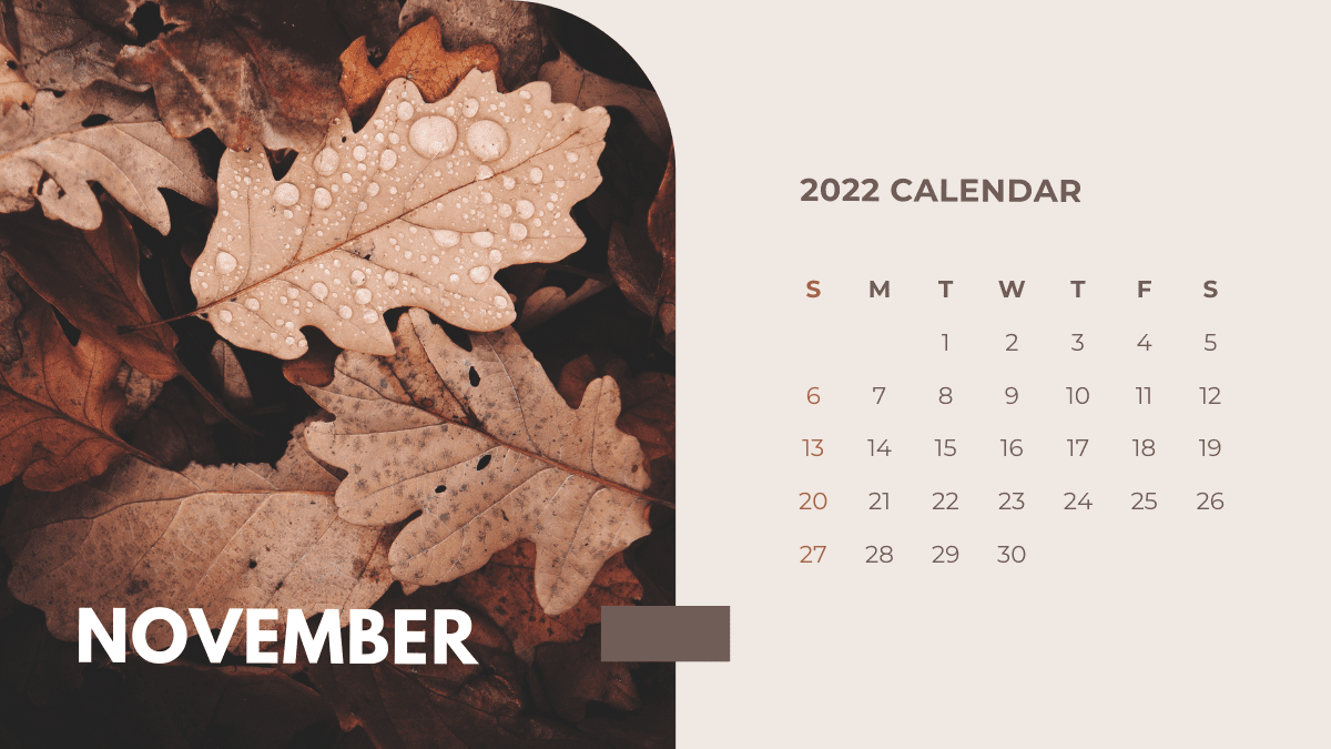 Cute November 2023 Calendar Floral