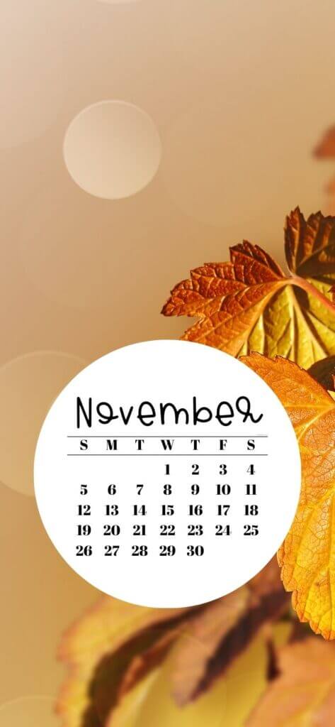 November 2023 Calendar Wallpaper for iPHone