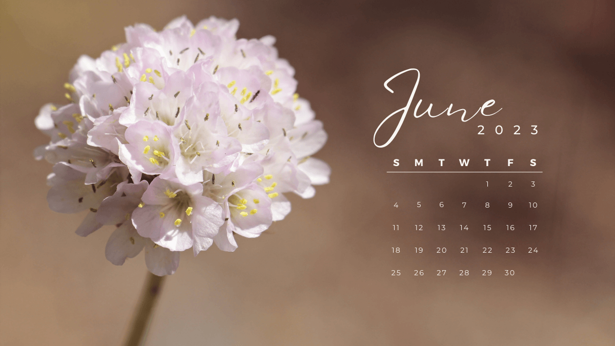 Floral June 2023 Desktop Calendar Wallpaper