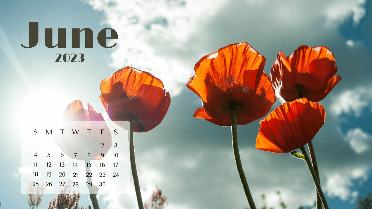 June 2023 Calendar Floral