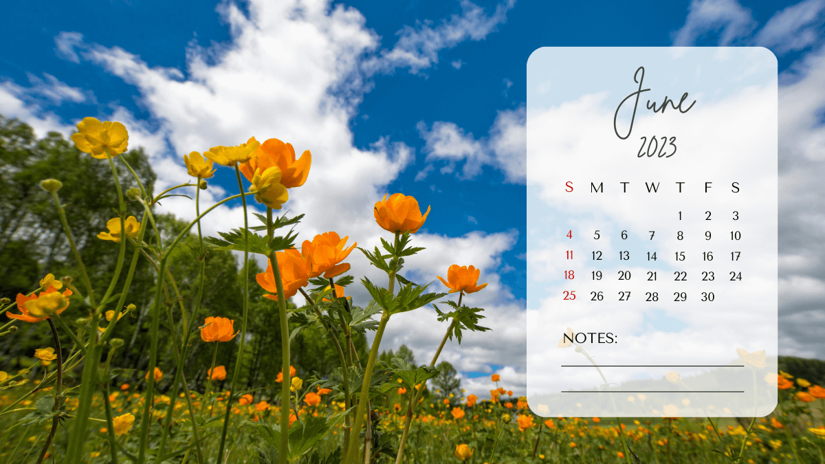 June 2023 Calendar Wallpaper floral