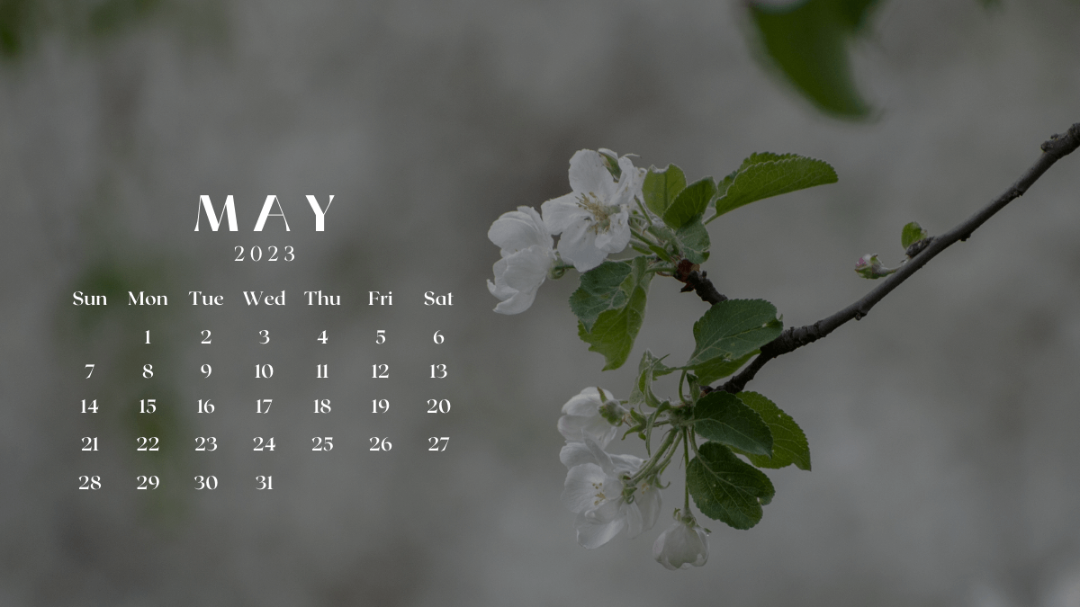 May 2023 Desk Calendar