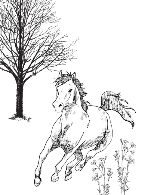 Cute Free Horse Coloring Pages